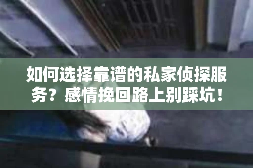 如何选择靠谱的私家侦探服务？感情挽回路上别踩坑！