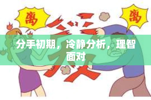 分手初期，冷静分析，理智面对