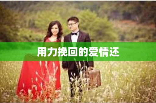 用力挽回的爱情还