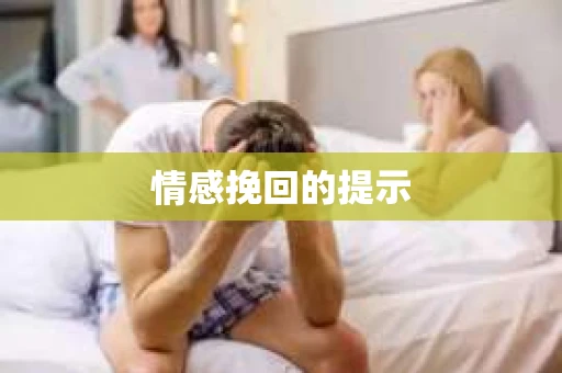 情感挽回的提示