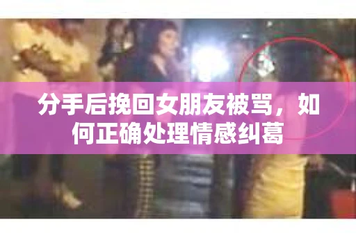 分手后挽回女朋友被骂，如何正确处理情感纠葛