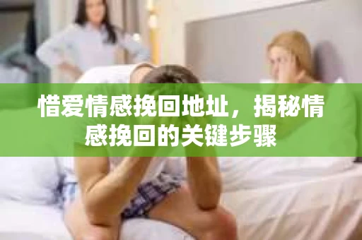 惜爱情感挽回地址，揭秘情感挽回的关键步骤