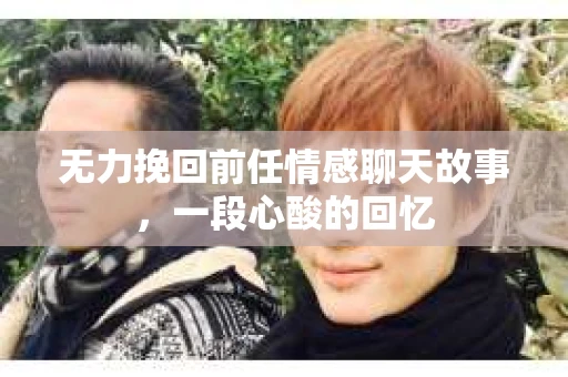 无力挽回前任情感聊天故事，一段心酸的回忆