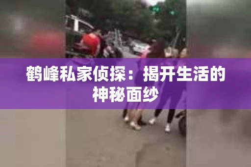 鹤峰私家侦探：揭开生活的神秘面纱