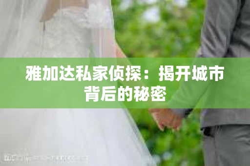 雅加达私家侦探：揭开城市背后的秘密