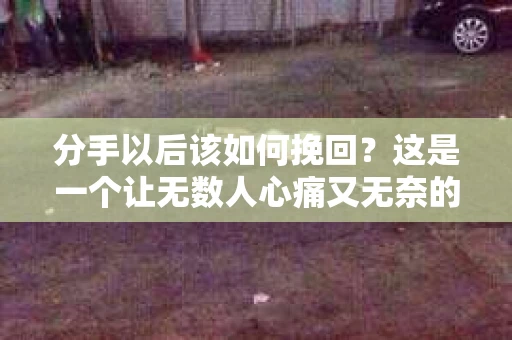 分手以后该如何挽回？这是一个让无数人心痛又无奈的问题。面对分手，我们该如何挽回失去的爱情呢？本文将为你提供一些建议，帮助你重新找回那段美好的感情