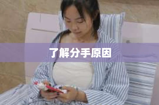 了解分手原因