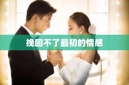 挽回不了最初的情感
