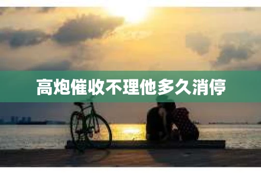高炮催收不理他多久消停