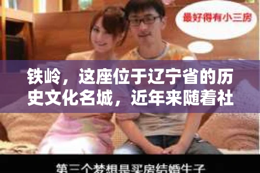 铁岭，这座位于辽宁省的历史文化名城，近年来随着社会的发展，人们对于隐私保护和信息查询的需求日益增长。那么，问题来了——铁岭有没有私家侦探所呢？今天，我们就来聊聊这个话题。