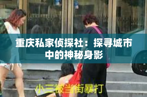 重庆私家侦探社：探寻城市中的神秘身影