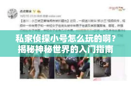 私家侦探小号怎么玩的啊？揭秘神秘世界的入门指南