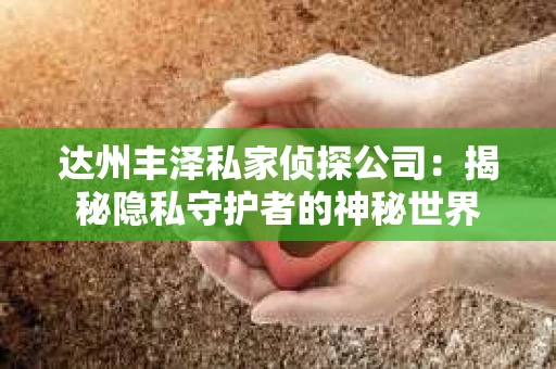 达州丰泽私家侦探公司：揭秘隐私守护者的神秘世界