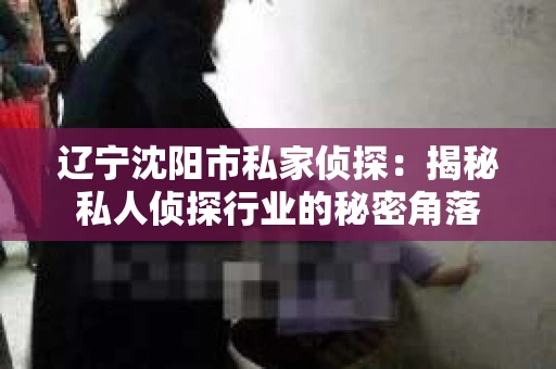 辽宁沈阳市私家侦探：揭秘私人侦探行业的秘密角落