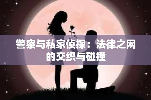 警察与私家侦探：法律之网的交织与碰撞