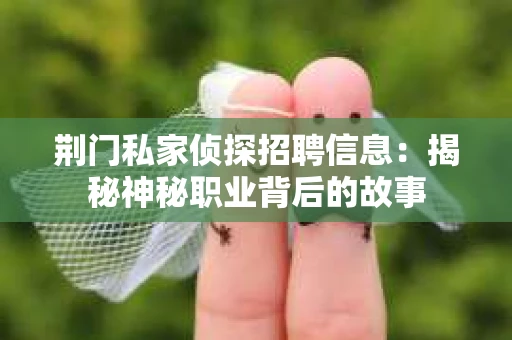 荆门私家侦探招聘信息：揭秘神秘职业背后的故事