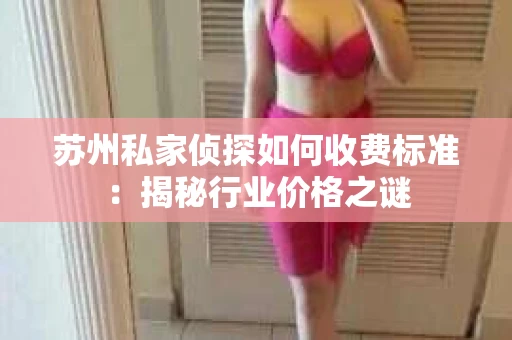 苏州私家侦探如何收费标准：揭秘行业价格之谜