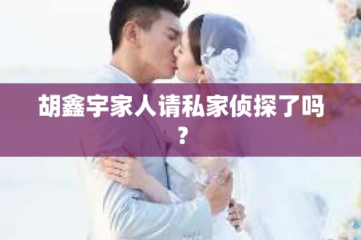 胡鑫宇家人请私家侦探了吗？