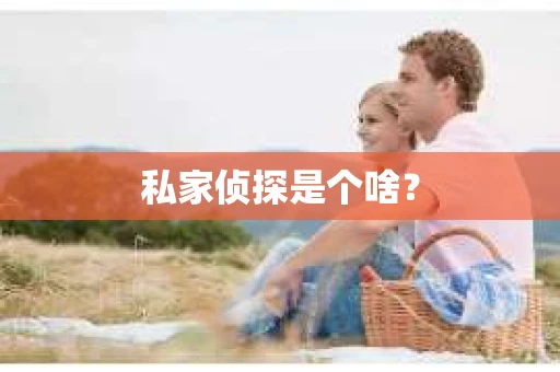 私家侦探是个啥？