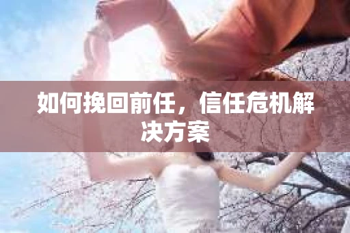 如何挽回前任，信任危机解决方案