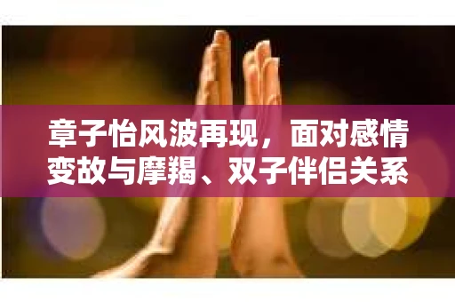 章子怡风波再现，面对感情变故与摩羯、双子伴侣关系的双重危机如何应对？