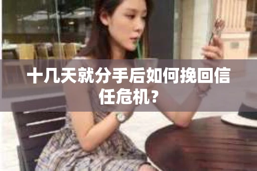 十几天就分手后如何挽回信任危机？